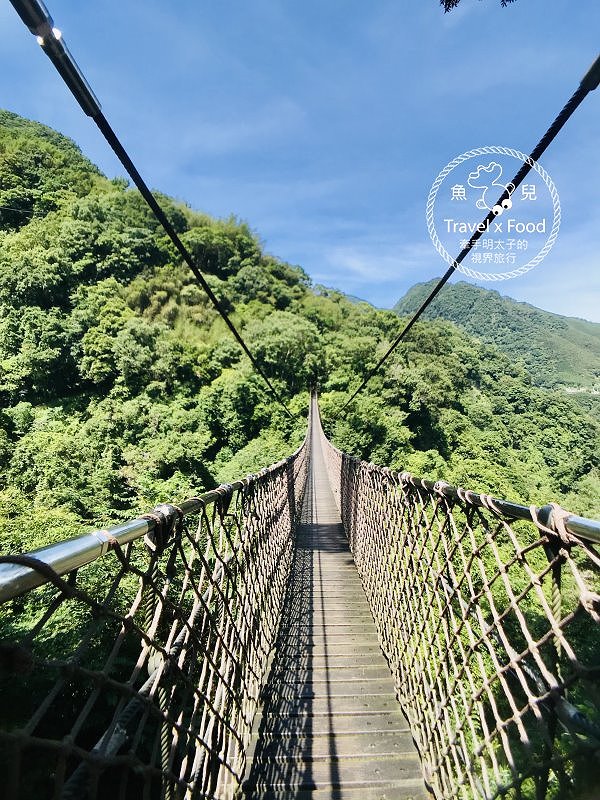 小烏來風景特定區 步道吊橋 森林浴 戲水一日遊 魚兒x 牽手明太子的 視 界旅行